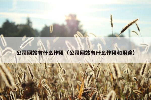 公司网站有什么作用（公司网站有什么作用和用途）