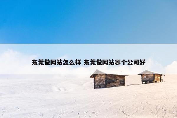 东莞做网站怎么样 东莞做网站哪个公司好