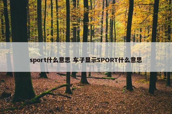 sport什么意思 车子显示SPORT什么意思