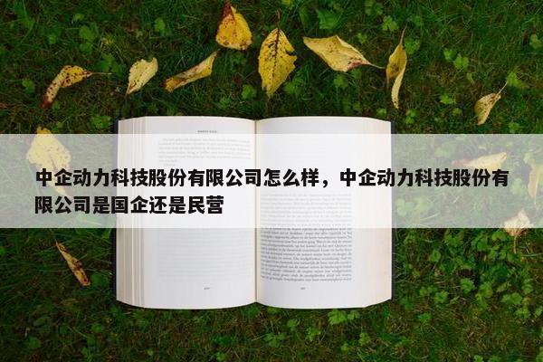 中企动力科技股份有限公司怎么样，中企动力科技股份有限公司是国企还是民营