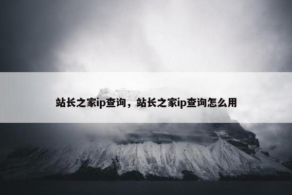 站长之家ip查询，站长之家ip查询怎么用