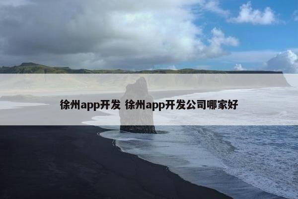 徐州app开发 徐州app开发公司哪家好