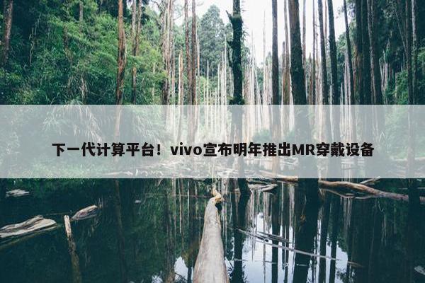 下一代计算平台！vivo宣布明年推出MR穿戴设备