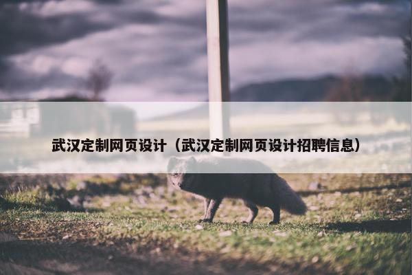 武汉定制网页设计（武汉定制网页设计招聘信息）