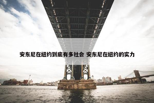 安东尼在纽约到底有多社会 安东尼在纽约的实力