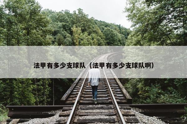 法甲有多少支球队（法甲有多少支球队啊）