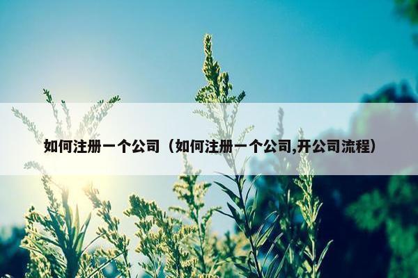 如何注册一个公司（如何注册一个公司,开公司流程）