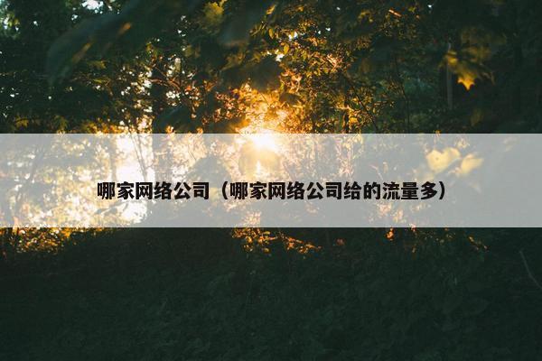 哪家网络公司（哪家网络公司给的流量多）