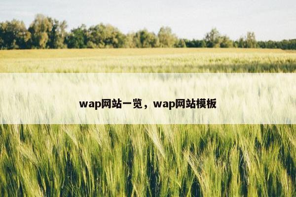 wap网站一览，wap网站模板