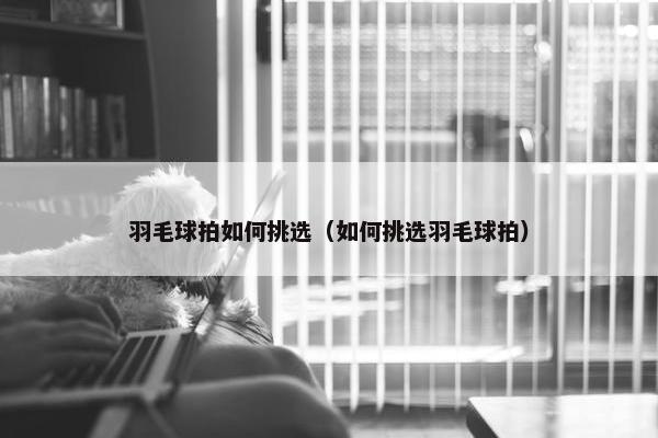 羽毛球拍如何挑选（如何挑选羽毛球拍）