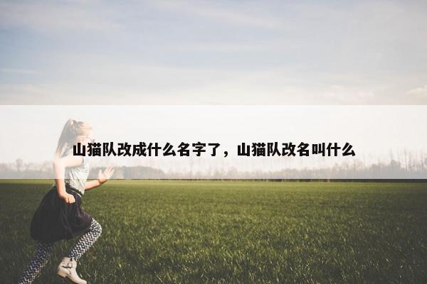 山猫队改成什么名字了，山猫队改名叫什么