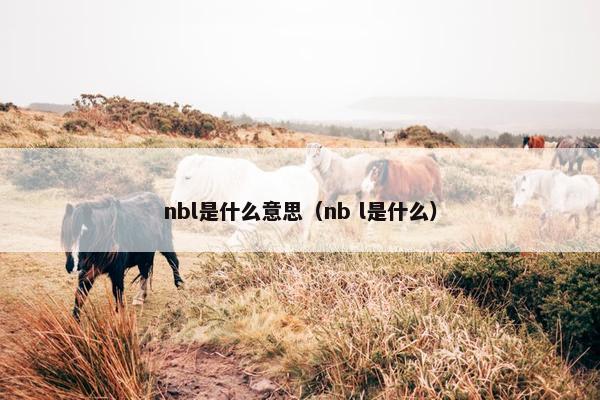 nbl是什么意思（nb l是什么）