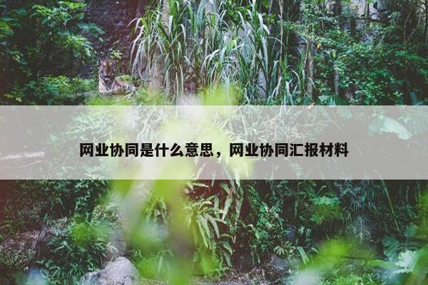 网业协同是什么意思，网业协同汇报材料