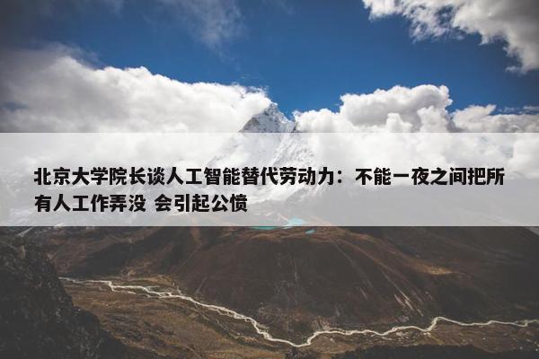 北京大学院长谈人工智能替代劳动力：不能一夜之间把所有人工作弄没 会引起公愤