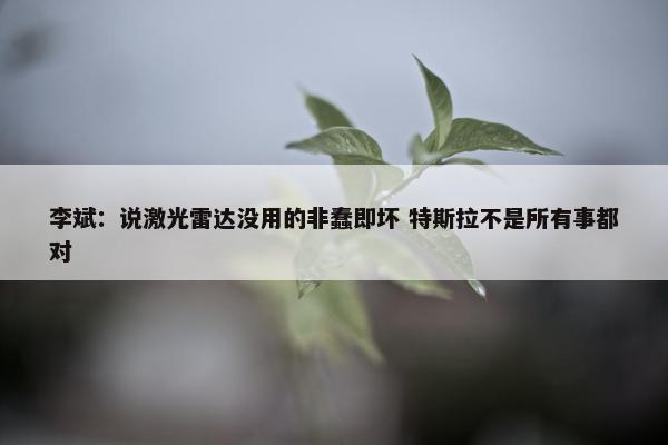 李斌：说激光雷达没用的非蠢即坏 特斯拉不是所有事都对