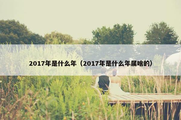 2017年是什么年（2017年是什么年属啥的）