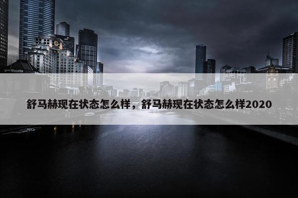 舒马赫现在状态怎么样，舒马赫现在状态怎么样2020