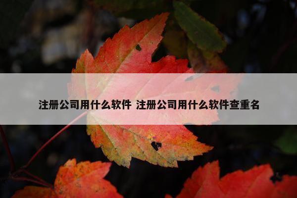 注册公司用什么软件 注册公司用什么软件查重名