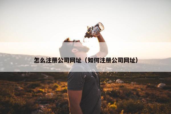 怎么注册公司网址（如何注册公司网址）