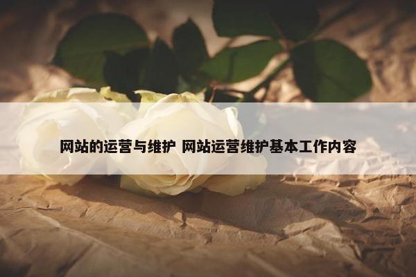 网站的运营与维护 网站运营维护基本工作内容