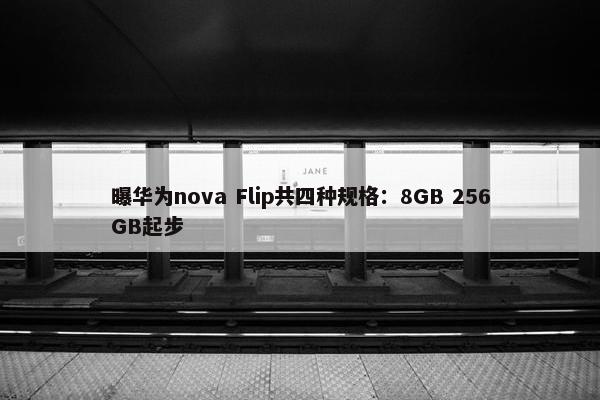 曝华为nova Flip共四种规格：8GB 256GB起步