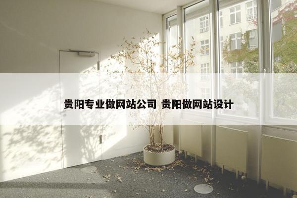 贵阳专业做网站公司 贵阳做网站设计