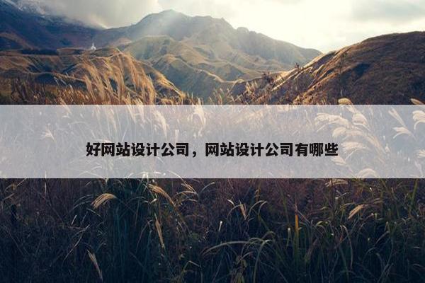 好网站设计公司，网站设计公司有哪些