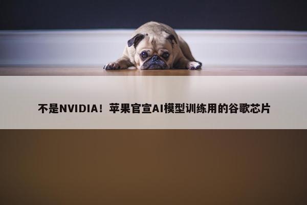 不是NVIDIA！苹果官宣AI模型训练用的谷歌芯片