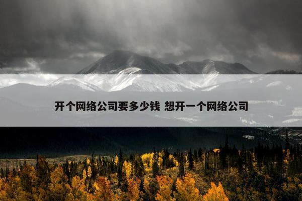 开个网络公司要多少钱 想开一个网络公司