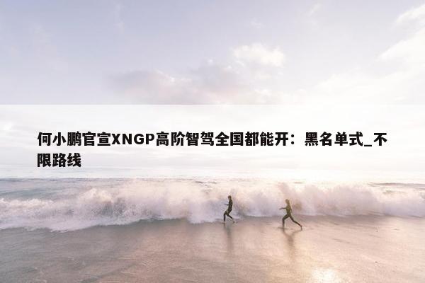 何小鹏官宣XNGP高阶智驾全国都能开：黑名单式_不限路线