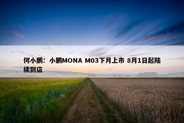 何小鹏：小鹏MONA M03下月上市 8月1日起陆续到店