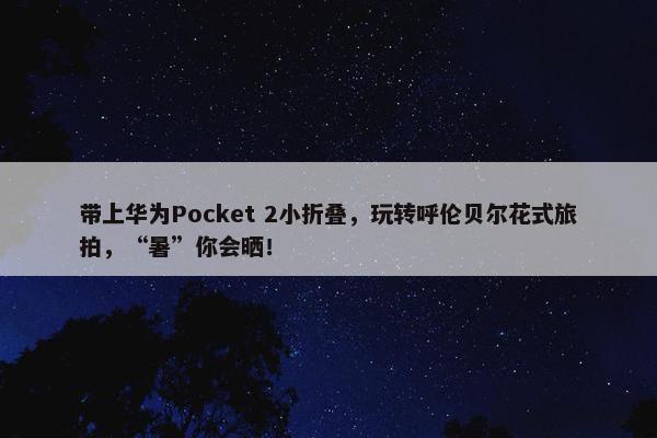 带上华为Pocket 2小折叠，玩转呼伦贝尔花式旅拍，“暑”你会晒！