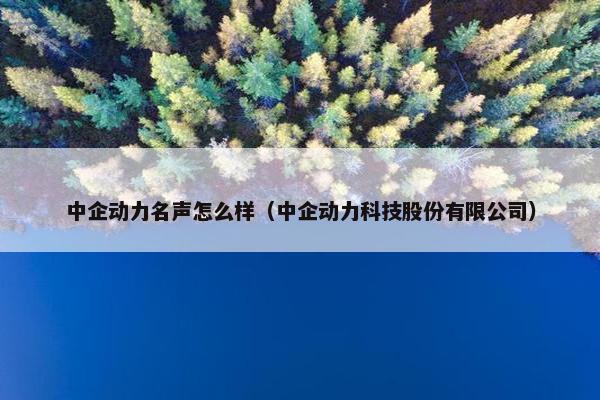 中企动力名声怎么样（中企动力科技股份有限公司）