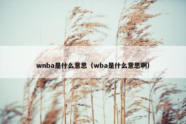 wnba是什么意思（wba是什么意思啊）