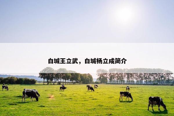 白城王立武，白城杨立成简介