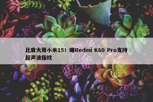 比肩大哥小米15！曝Redmi K80 Pro支持超声波指纹