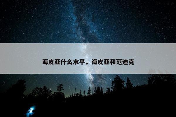 海皮亚什么水平，海皮亚和范迪克