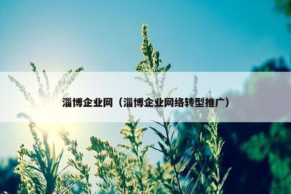 淄博企业网（淄博企业网络转型推广）