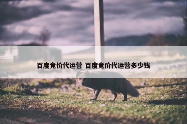 百度竞价代运营 百度竞价代运营多少钱