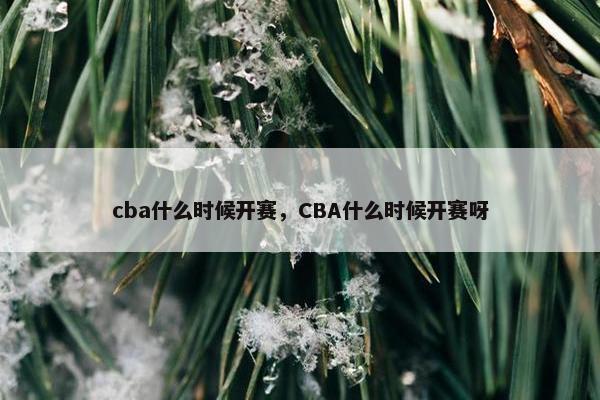 cba什么时候开赛，CBA什么时候开赛呀