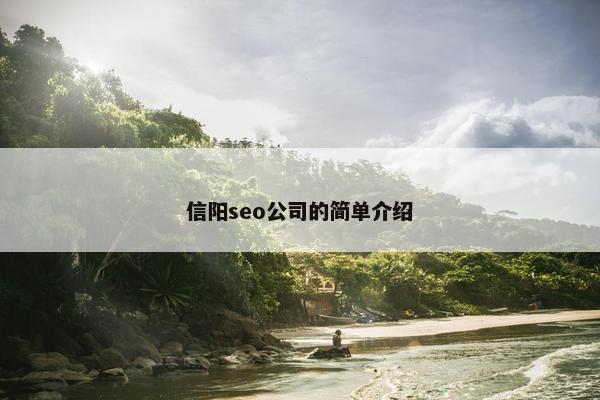 信阳seo公司的简单介绍