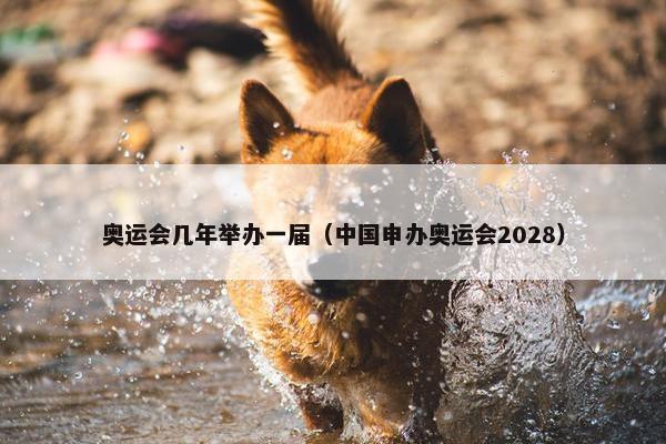 奥运会几年举办一届（中国申办奥运会2028）