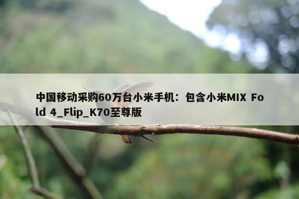 中国移动采购60万台小米手机：包含小米MIX Fold 4_Flip_K70至尊版