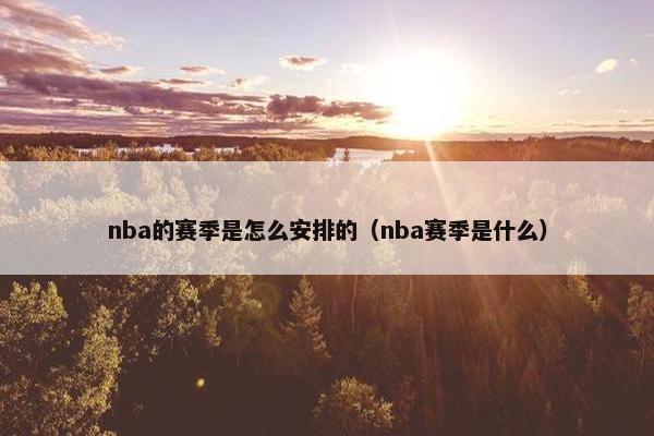 nba的赛季是怎么安排的（nba赛季是什么）