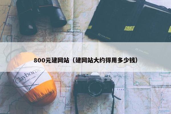 800元建网站（建网站大约得用多少钱）