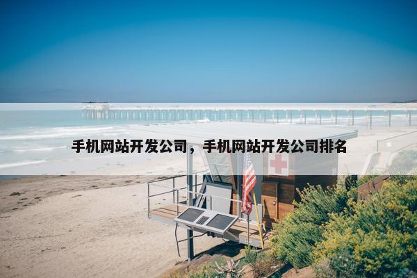 手机网站开发公司，手机网站开发公司排名