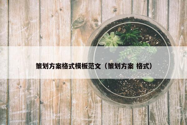 策划方案格式模板范文（策划方案 格式）