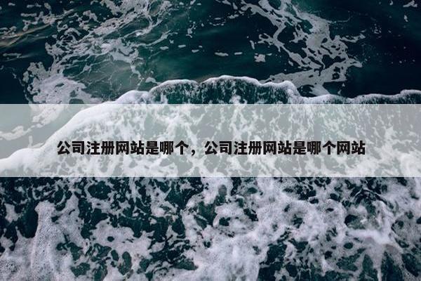 公司注册网站是哪个，公司注册网站是哪个网站