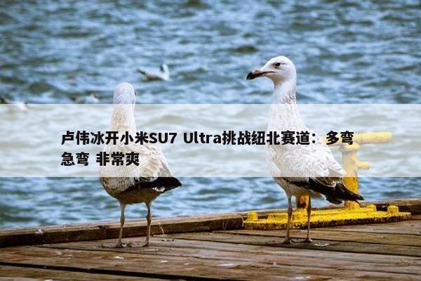 卢伟冰开小米SU7 Ultra挑战纽北赛道：多弯 急弯 非常爽