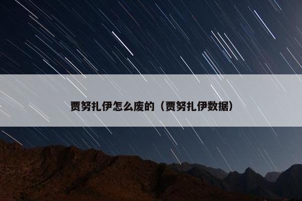 贾努扎伊怎么废的（贾努扎伊数据）